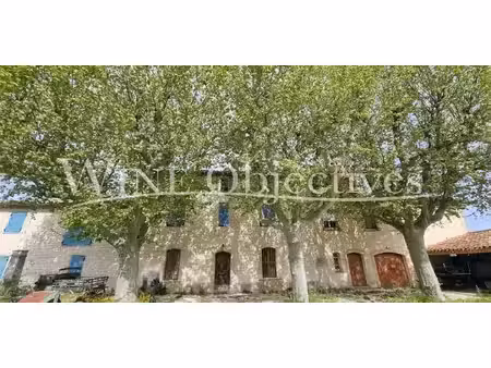 vignoble hyeres (83)