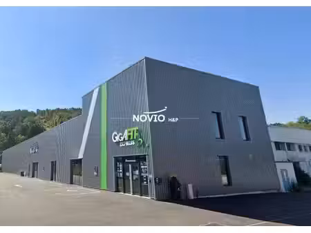novio h&p