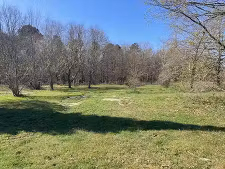 vente terrain 700 m² à lanton (33138)  225 000 €