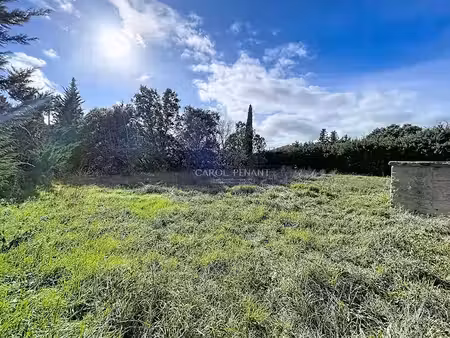 vente terrain 982 m² à pernes-les-fontaines (84210)  160 000 €