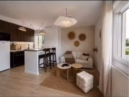 appartement 45m2 entièrement rénové