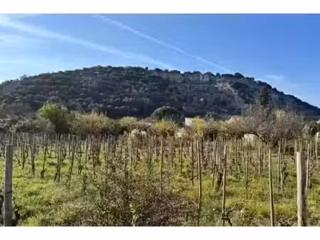 vente terrain 526 m² à cornas (07130)  131 000 €