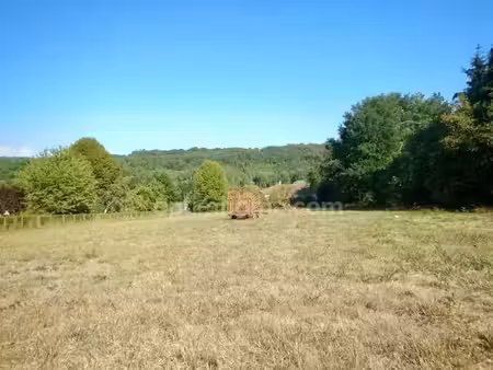 vente terrain 1602 m² à château-l'evêque (24460)  40 000 €