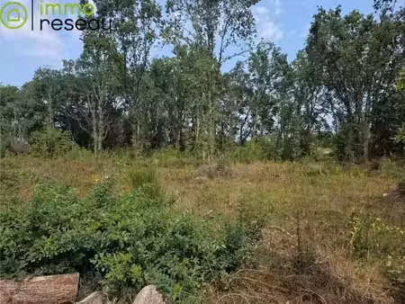 vente terrain 597 m² à le teich (33470)  240 000 €