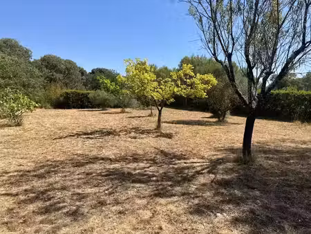 vente terrain 721 m² à sainte-croix-de-quintillargues (34270)  249 000 €
