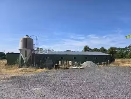 vente terrain 30000 m² à martigné-sur-mayenne (53470)  333 400 €