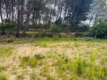 terrain constructible viabilisé à vendre