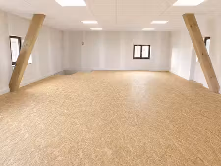 bureaux 80m2 - sérézin du rhône