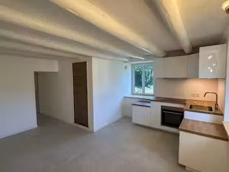 charmant appartement rénové avec grand espace de stockage
