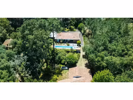 villa avec piscine et jardin hossegor (40)