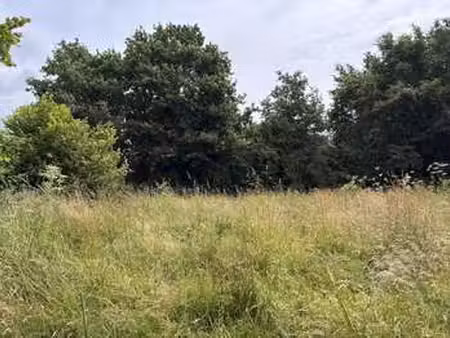 vente terrain à notre-dame-des-landes (44130) : à vendre / 527m² notre-dame-des-landes