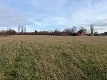 terrain agricole