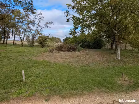 terrain constructible
