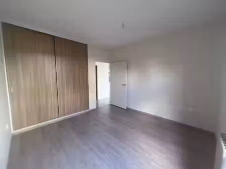 scharf immobilier