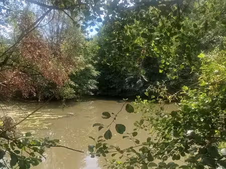etang