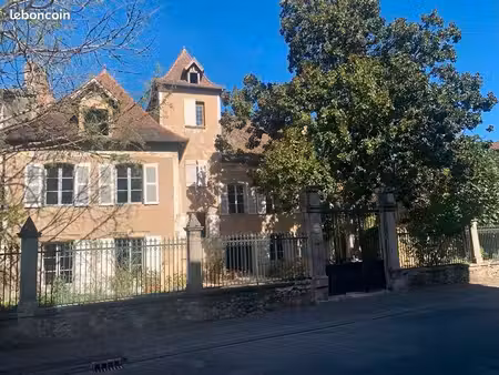 grande maison de caractère avec garage et jardin en centre-ville  avec petite maison à res