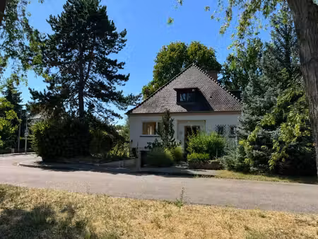 scharf immobilier