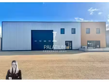 palatium immobilier