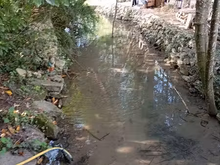 grand terrain plat  avec ruisseau dans le terrain  12 ares  avec cabane   partie jardin