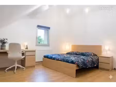 location étudiante angers belle-beille