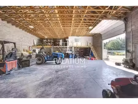 palatium immobilier