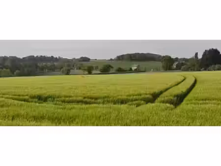 trecobois dinan