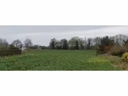 trecobois dinan