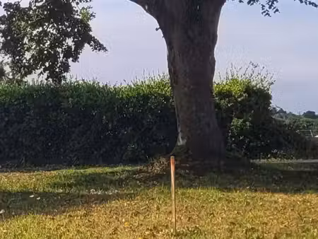 trecobois lamballe