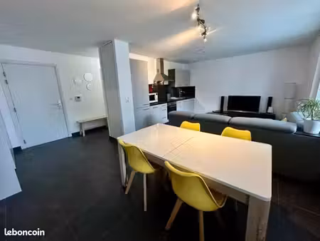 appartement 2 pièces 51 m2. (2017  balcon  2 parkings  tram immédiat)