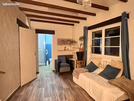 appartement t1 bis  lumineux et tempéré  terrasse