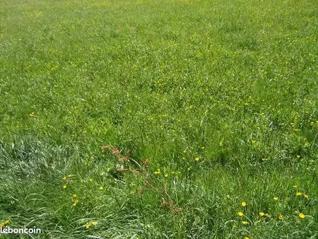 a 5 mn de dannemerie terrain de 28 ares entièrement constructible