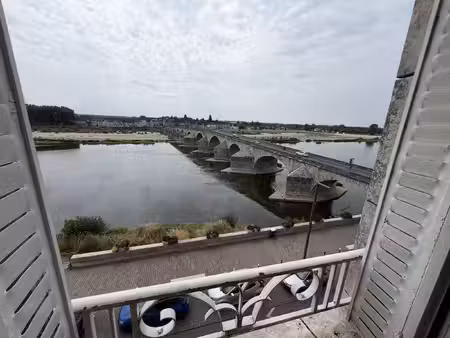 studio - vue loire