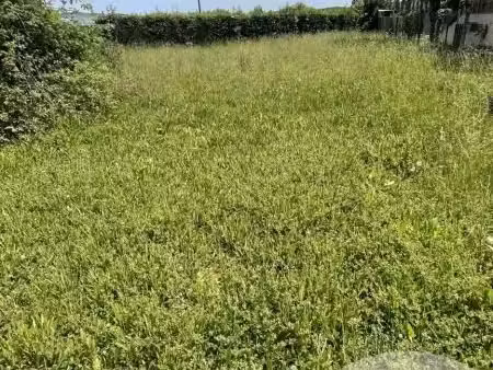 terrain 298 m² monthyon