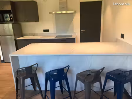 appartement meuble 65 m2 (location longue durée uniquement)