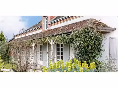 maison avec piscine et jardin saint-jean-de-braye (45)