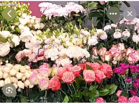 magasin pour fleuriste