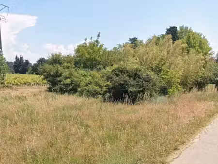 terrain agricole