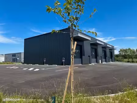 local 150 m²