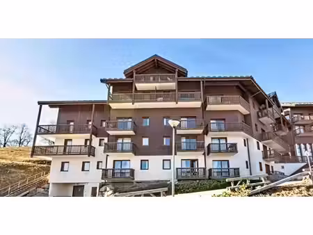 mountain collection immobilier