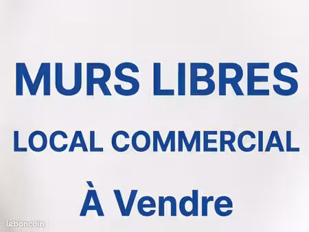 murs local commercial libres