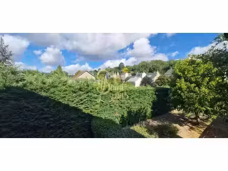 vente appartement 3 pièces 76 m² tours (37100)