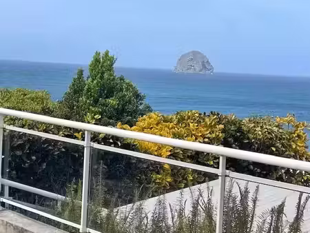 vente appartement 1 pièces 25 m2 à le diamant