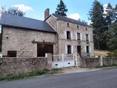 haute-vienne - superbe maison en pierre de 6 chambres avec un jardin de 8 000 m²  une gran