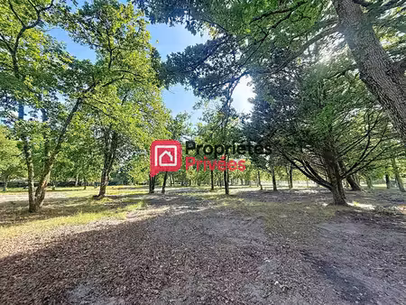 hourtin-port - terrain viabilisé 604 m² à proximité du lac