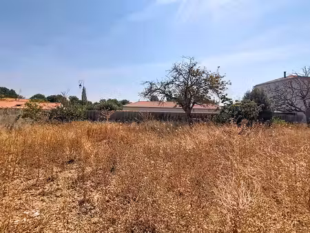 terrain constructible saint xandre 480 m2