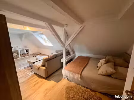 appartement 45m2 au sol