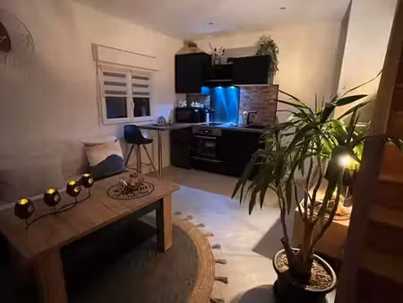 ? maisonnette meublée de 28 m² – à 5 min de la fac ?