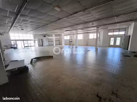 local d'activité 390 m²