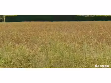 terrain 216 m² aigrefeuille d aunis