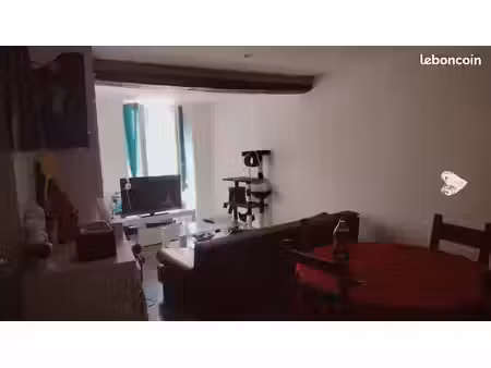 joli appartement t3 centre ville